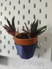 SKADIS Plant Pot Stylized
