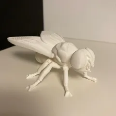 Fly (multi-material)