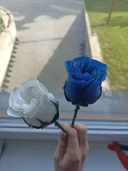 Spiral Vase Rose