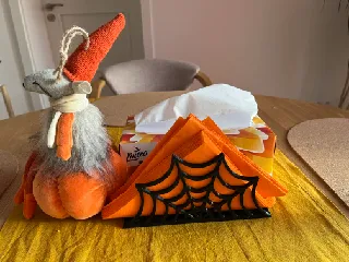 Spiderweb Napkin Holder
