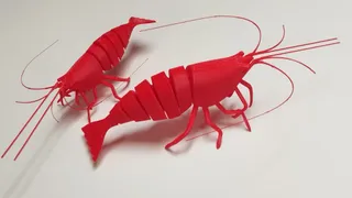 articulated shrimp