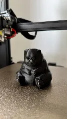 Fat Kitty