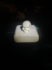 Yorick Skull Knob