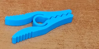 Clothes peg, food