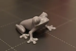 TREEFROG