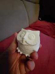 Smiling Owl