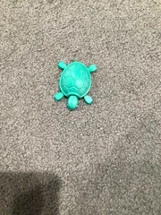 Cutie Baby Turtle