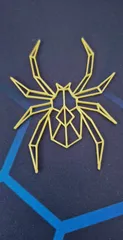 Geometric Spider