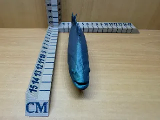 Large Mouth Bass by Peter Farell | Download free STL model | Printables.com