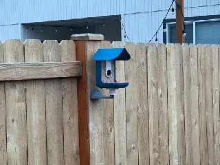 Bird Buddy Wall Mount