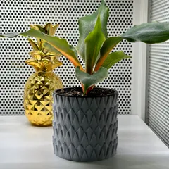 Pineapple Crown - Pot and Planter for your House Plants - Vasemode print