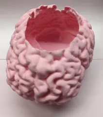 Brain Planter / Candy Dish