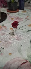 Eternal Rose