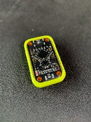 Chameleon Ultra Case