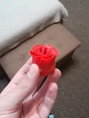 Spiral Vase Rose