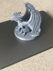 Silver Dragon
