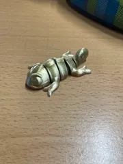 Chameleon (Nylon filament)