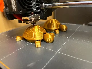 Cutie Baby Turtle