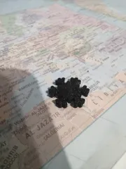 Snowflake