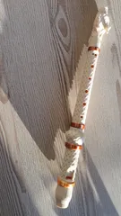 Dragon Recorder