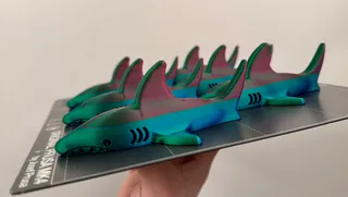 Shark