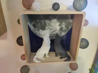 Image preview