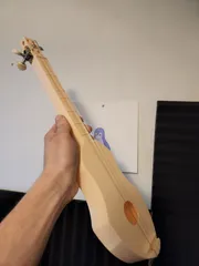 3 string ukulele-like instrument