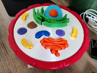 Buildable Cell model