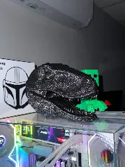 Velociraptor Dinosaur