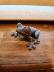 TREEFROG