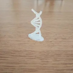 DNA Desk Ornament