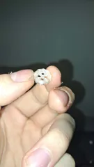 Sewing replacement Buttons (22+ Variants)