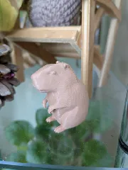 Capybara
