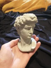 David (by Michelangelo) Head Pot Plant