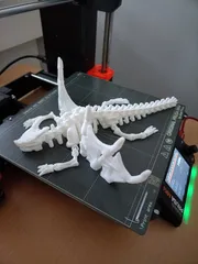 skeleton dragon