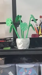 20 Monstera Leaf Coaster Set