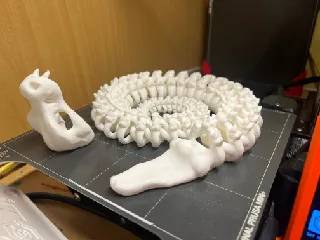 Articulated Skeleton Snake