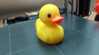 Quack the Duck