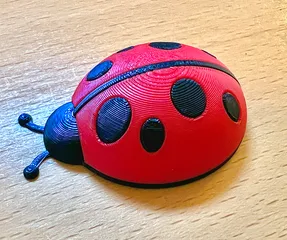 Ladybug Magnet