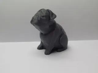 Josef Prusa's pug Buddy