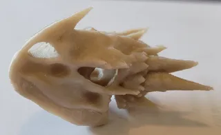 Dragon Skull