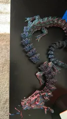 The Chinese Articulated Dragon