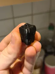 Mini teeth box