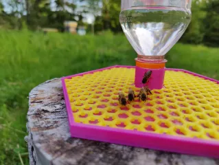 The Original Awesome Bee Feeder! - UPDATED for greater stability