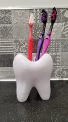 Toothbrush Holder Tooth