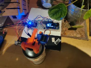 Image preview