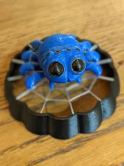 Spider's Web ~ A 3D Printer stress test