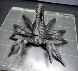 Scorpion