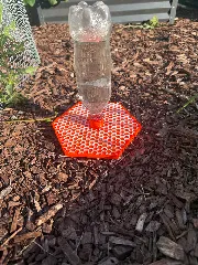The Original Awesome Bee Feeder! - UPDATED for greater stability