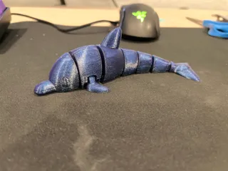 Cute Articulated Dolphin